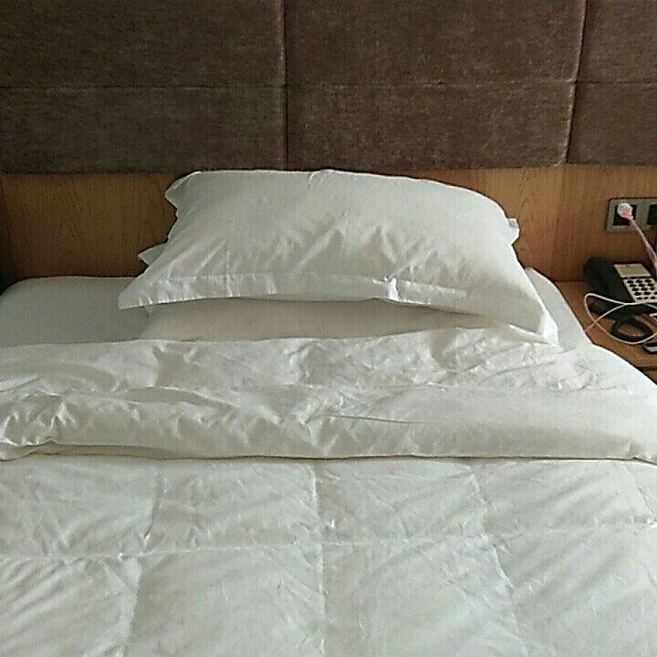 Wen Xin Yuan Homestay بولي المظهر الخارجي الصورة